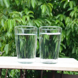 GELAS KACA POLOS 2PCS/GELAS KACA BENING/GELAS KOPI