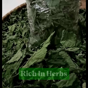 Daun kirinyuh/kopasada/balakacida kering 250g