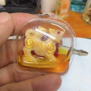 สิงห์หลวงพ่อเดิม ในกรอบน้ำมัน