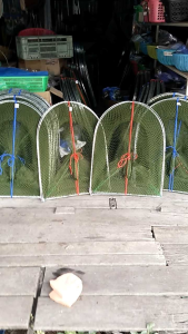 คอนโดดักปลา ดักกุ้ง/โง้ดักปลาสูง70เซน90เซน5วง/10วง/15วง/20วง30วง (3เซน)