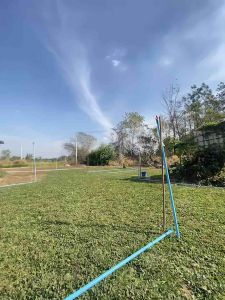 หญ้าไทเป กระสอบละ 10 กิโล ปลูกได้ 20 ตร.ม