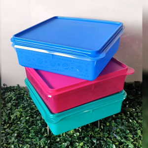 Tupperware Snack Keeper 2.9L (1pc)