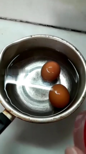 alat bantu masak telur