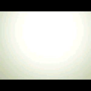 ALL Varian Sandal Swallow Nice Safari Sandal Jepit Wanita Swallow Terbaru 2024 Karet Tebal