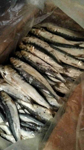 IKAN ASIN JAPU SIRO SUPER BISA COD