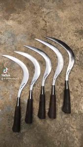 Arit / sabit serbaguna / arit rumput model clurit / arit rumput baja murni