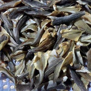 KHÔ LÓC CỬNG_LÓC ƯỚP GIA VỊ VỪA ĂN 100% KHÔNG MẶN