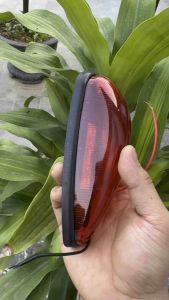 1 cái đèn nóc đèn thùng xe ô tô hình giọt nước siêu sáng led 24v cho xe ô to