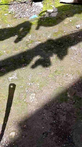 gagang/joran pancing wader dll dari tanduk asli ukir