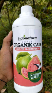 PUPUK COR ORGANIK BUAH JAMBU | Fermentasi 41 Hari | 100% Organik | Pilihan Ukuran 500ml | 1 Liter