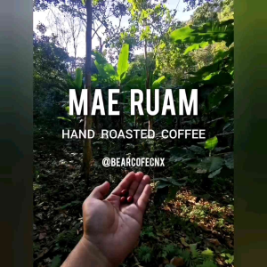 เมล็ด​กาแฟ​คั่ว​มือ​ ตรา BEAR​ COFE​ 100g