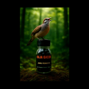 Pil Tradisional Perkutut RAJA GACOR isi 100 Butir jamu perkutut lokal dan Bangkok cepat gacor rajin manggung warisan leluhur apbn