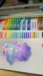 Bộ 24 Bút Màu ENMY Outshiner Glitter Markers Màu Nhũ Lấp Lánh Kim Tuyến Nhanh Khô Màu Sắc Rực Rỡ - MAIS ART