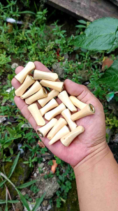 Pipa Cangklong Kayu Kumuning Mungil 3cm
