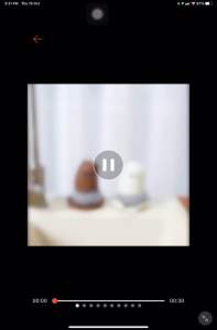 Pot Brush Cleaning Brush With Handle Kitchen Dishwashing Household Replaceable Dishwashing Brush   Scourer with Cute Bear Handle Dish Scrubber Cleaning Brush with Draining Tray