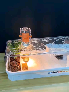 Turtle Tortoise Tank 高颜值乌龟缸 Aquarium Tank Reptile Tank 爬虫缸