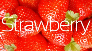 Blender Chopper Juicer smoothies portable 6 blades Juice bilah pisau Portable Rechargeable Mixer Choper Juser smothies bisa di cas portabel mata USB batrai batre baterai Mini Ice crusher mirip nutribullet