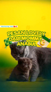 Persia Kitten Repack Meo Persian 400gr Dry Cat Food Makanan Kucing Persia Anak Kiten Pakan Cat Food Me-O Makanan Kucing Kering