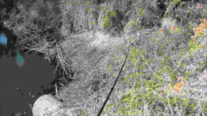 ***แถมฟรีตะขอเบอร์ 1*** เหยื่อหนอนยางนิ่ม ๆ ขนาด 8.5 ซม. มีทั้งหมด 10 ตัว