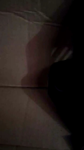 1 SET DUDUKAN RADIATOR + COVER RADIATOR MOTOR VARIO LED NEW ESP 2017 - 2023 Asli Engine Foto