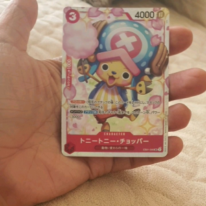 EB01 One Piece Chopper