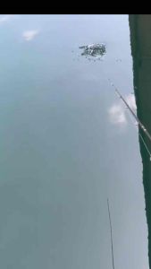 STORM GOMOKU FLUTTERSTICK SMALL VERSION 4CM 3GRAM PEACOCK BASS SEBARAU KILLER LURE