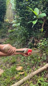 Golok berkebun golok tebas kayu dan bambu golok serbaguna supertajam COD