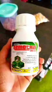 neotrin insektisida 380 sc obat pembasmi hama gulma rumput liar padi racun ulat paling ampuh
