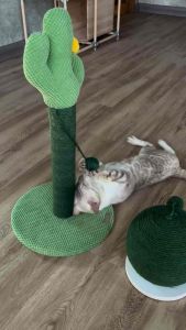 ที่ลับเล็บแมวกระบองเพชร ทรงกลม Zeze ของเล่นแมว ที่ฝนเล็บแมว แผ่นลับเล็บ Monkey