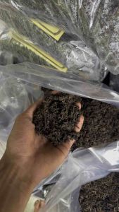 media tanam organik siap pakai cocok untuk segala jenis tanaman media tanam kompos organik media tanam organik//pupuk kandang yang sudah dipermentasikan dengan komposisi tanah subur kompos organik pupuk kandang sekam bakar cocopeat mikroganisme