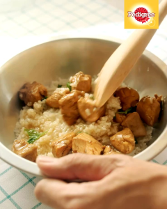 Pedigree Repack 1kg Adult / Mini / Puppy Dog Food Pedigre Makanan Anjing