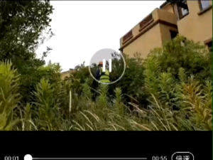 DONG CHENG DCYM4013B 2X20V 40V CORDLESS BRUSHLESS GRASS TRIMMER CUTTER EDGER PEMOTONG RUMPUT LAWN MOWER DONGCHENG DCA CWH TOOLS SDN BHD GROUP TRADING DCYM20101 DCYM20131 DCST20131 HEDGE TRIMMER TOTAL P20 TGTLI20018 STC1820 STC1820EPCF GREENWORKS