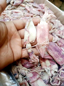 cumi asin kering 1kg