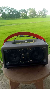 ตู้ลำโพงบลูทูธดอกฟลูเร้น 4 นิ้ว 1 คู่