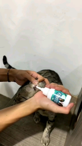Earmites Care by Golden Paw Obat Tetes Telinga Premium Efektif Atasi Earmites Kucing
