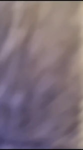 Soft case itel a70 macaron black case pro case hitam\nSoft case redmi 13c poco c65 macaron black case pro case hitam\nSoft case itel s23 plus macaron black case pro case hitam