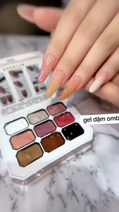 Set gel dặm móng ombre 9 màu DAININA chất gel đặc màu đậm đặc