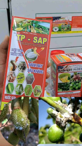 TP SAP Bakari 512EC 400ml nước sữa mát cây: diệt rệp sáp mọt đục cành sâu đục thân bọ trĩ sùng hà khoai lang bọ hà rầy xanh