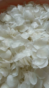 【1kg】深海野生顺丰午鱼鱼鳞片Deep sea wild shovelnose croaker scales