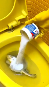 Serbuk Ajaib Anti Sumbat WC Westafel Kloset pipa air Pembersih Serbaguna Saluran Air Tanpa Mampet 500gr