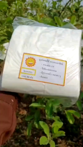 ถุงห่อฝรั่ง ถุงห่อผลไม้ 6x12 /6 14 นิ้ว กรองแสง กันแมลง 1แพ็ค 90 ใบ ไม่ต้องห่อกระดาษ มีรูระบายน้ำระบายอากาศ ก้นถุง 3รู