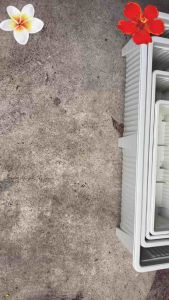 กระถางรางยาว พลาสติก อ่างเลี้ยงปลา ขนาดเล็ก/กลาง/ใหญ่/จัมโบ้