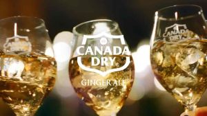 Canada Dry Diet Ginger Ale 350 ml. x 12 (Exp. 15 JAN 2026)