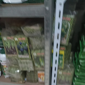 Bibit Cabe Rawit Putih Tahan Virus TMB SEED Isi 5 Gram Setara Benih Cabai ORI 212