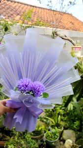 BUKET UANG 15 ROLL KOSONGAN/ KERANGKA BUKET HADIAH KELULUSAN WISUDA ANNIVERSARY ULANG TAHUN BUKET UANG KOSONGAN MEDIUM SEDANG 40 CM