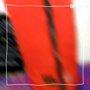 Kerodong Sangkar Bulat Burung Lovebird Aves Original