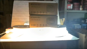 HARGA 1ROLL 50M HINOMARU LAMPU SELANG LED STRIP COB 288 LED/METER 220V IP65 PUTIH / KUNING WARM WHITE 3000K BAGUS KUALITAS TERBAIK