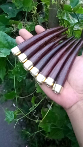 pipa pirok kayu bertua gali asem ring kuningan