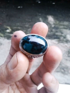 bacan Doko majiko coklat totol