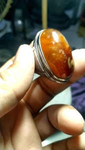 Batu Akik Cempaka Tua Dari Sungai Ciliwung Natural Unik